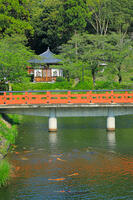 奈良県　安倍文殊院　不動堂と文殊池 [HMA110003408]