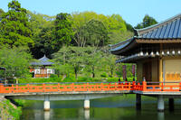 奈良県　安倍文殊院　金閣浮御堂と不動堂 [HMA110003409]