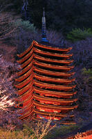 奈良県　ライトアップの十三重塔　談山神社　 [HMA110003412]