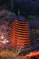 奈良県　ライトアップの十三重塔　談山神社　 [HMA110003413]