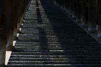 奈良県　長谷寺の登廊 [HMA110003415]