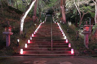 奈良県　ライトアップの談山神社　 [HMA110003422]