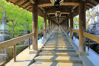 奈良県　長谷寺の登廊 [HMA110003424]