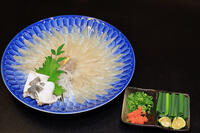 天然フグの刺身　テッサ [HMA110004038]