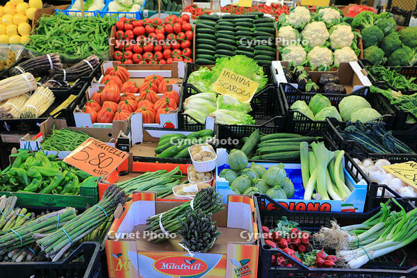 ベネチアの八百屋 [HMA110003327]