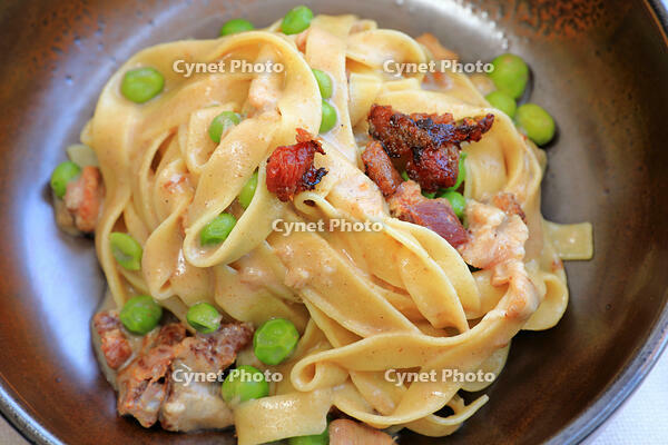 イタリア料理　ソラ豆と鶏肉のフェットチーネ [HMA110003334]