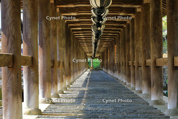 奈良県　長谷寺の登廊 [HMA110003349]