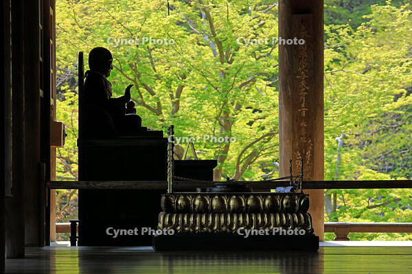 奈良県　長谷寺の本堂 [HMA110003351]