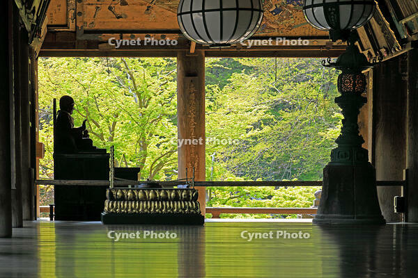 奈良県　長谷寺の本堂 [HMA110003352]