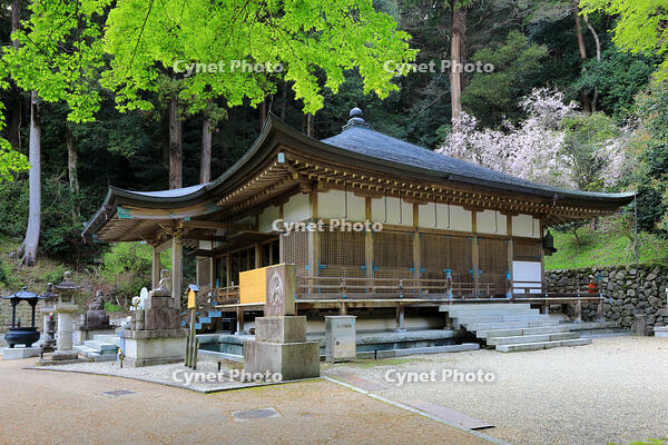 奈良県　長谷寺　弘法大師御影堂 [HMA110003355]