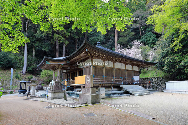 奈良県　長谷寺　弘法大師御影堂 [HMA110003356]