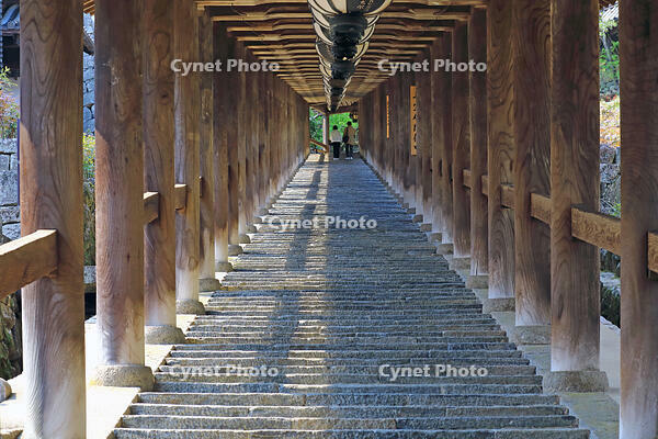 奈良県　長谷寺の登廊 [HMA110003360]