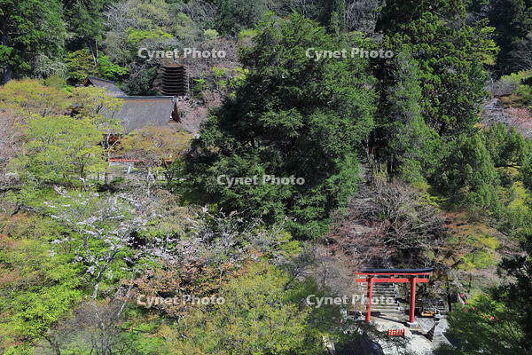 奈良県　談山神社　 [HMA110003363]