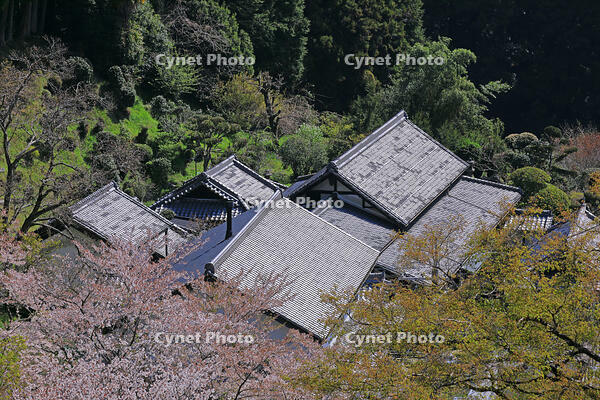 民家の屋根瓦　奈良　桜井市 [HMA110003369]