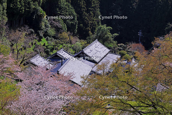 民家の屋根瓦　奈良　桜井市 [HMA110003370]