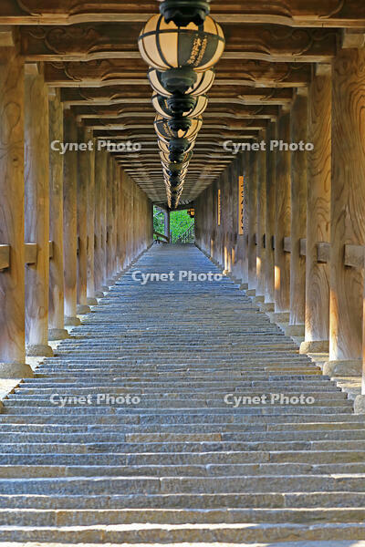 奈良県　長谷寺の登廊 [HMA110003371]