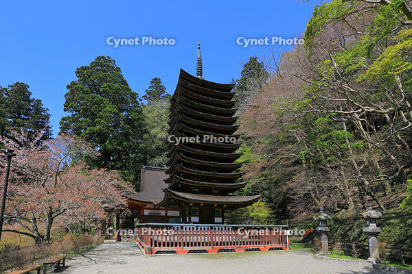 奈良県　談山神社　十三重塔 [HMA110003372]