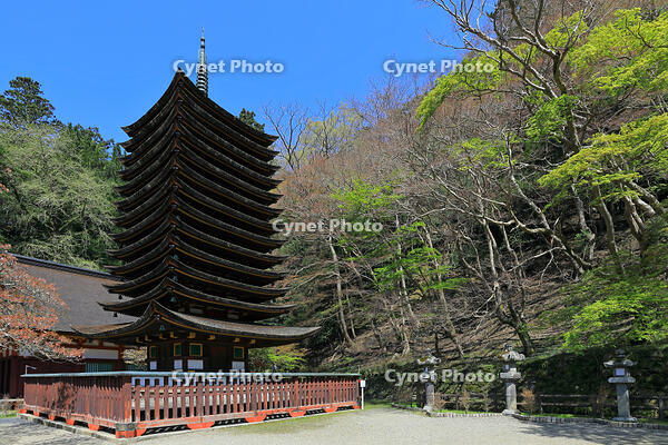 奈良県　談山神社　十三重塔 [HMA110003373]