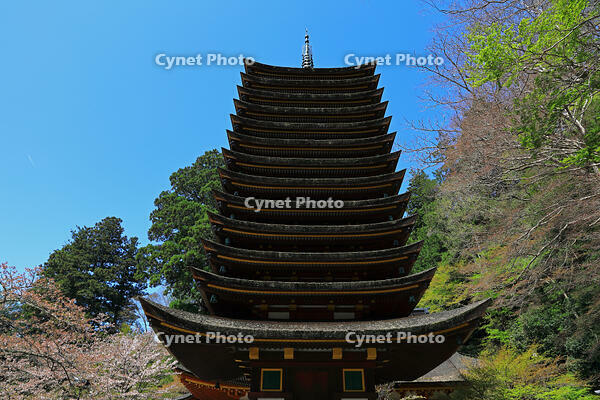 奈良県　談山神社　十三重塔 [HMA110003376]
