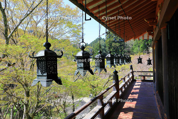 奈良県　談山神社　拝殿の釣り灯籠 [HMA110003380]