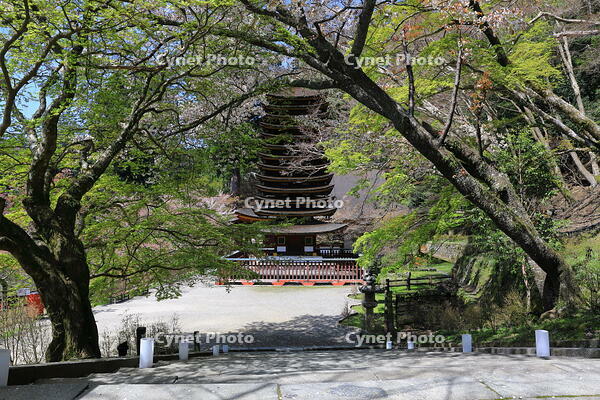 奈良県　談山神社　十三重塔 [HMA110003381]