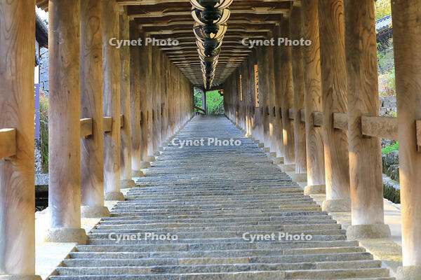 奈良県　長谷寺の登廊 [HMA110003382]