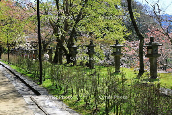 奈良県　談山神社　境内の石灯籠 [HMA110003383]