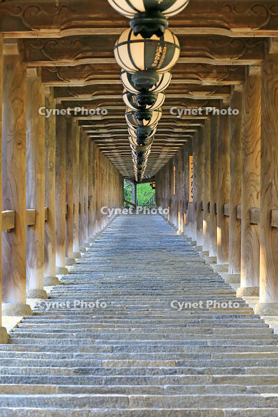 奈良県　長谷寺の登廊 [HMA110003393]