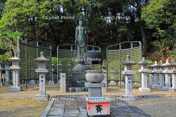 奈良県　安倍文殊院　十一面観音 [HMA110003398]