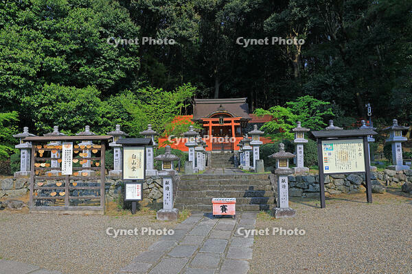 奈良県　安倍文殊院　白山堂 [HMA110003400]