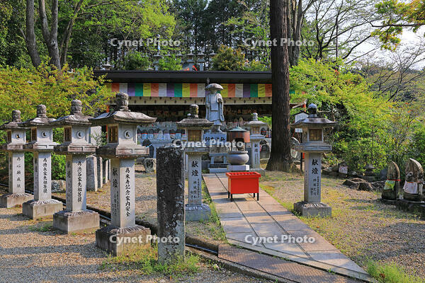 奈良県　安倍文殊院　石仏 [HMA110003402]