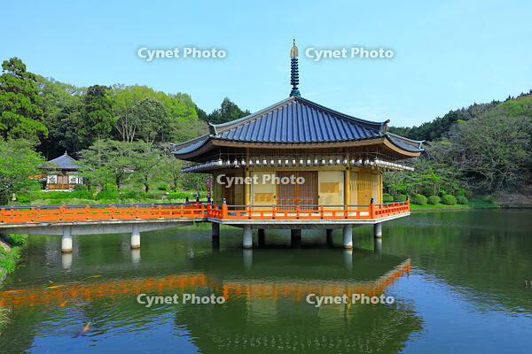 奈良県　安倍文殊院　金閣浮御堂・霊宝館 [HMA110003403]