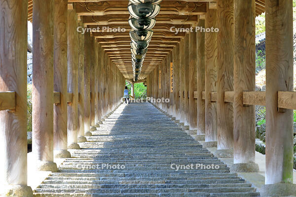 奈良県　長谷寺の登廊 [HMA110003404]