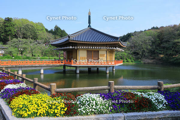 奈良県　安倍文殊院　金閣浮御堂・霊宝館 [HMA110003405]
