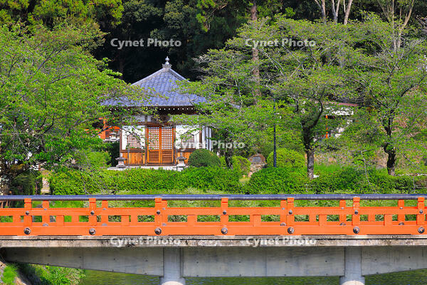 奈良県　安倍文殊院　不動堂 [HMA110003406]