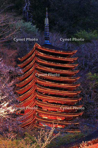 奈良県　ライトアップの十三重塔　談山神社　 [HMA110003412]