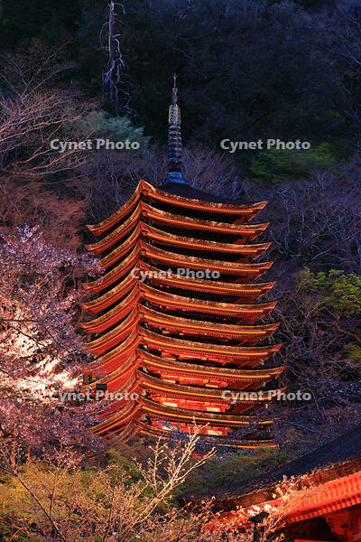 奈良県　ライトアップの十三重塔　談山神社　 [HMA110003413]