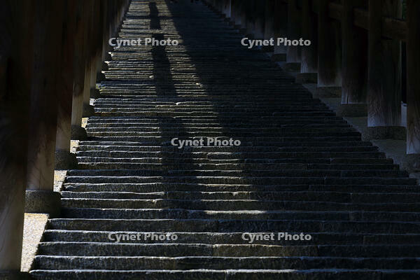 奈良県　長谷寺の登廊 [HMA110003415]