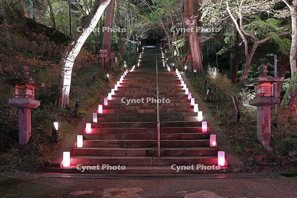 奈良県　ライトアップの談山神社　 [HMA110003422]