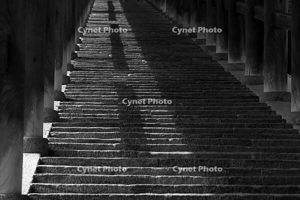 奈良県　長谷寺の登廊 [HMA110003423]