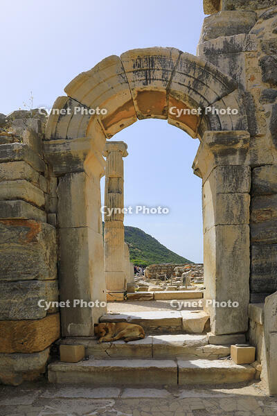 トルコ　エフェソスの古代都市遺跡 [HMA110003997]