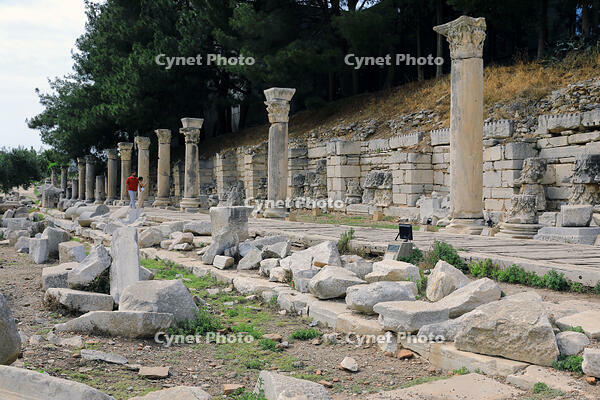 トルコ　エフェソスの古代都市遺跡 [HMA110004028]