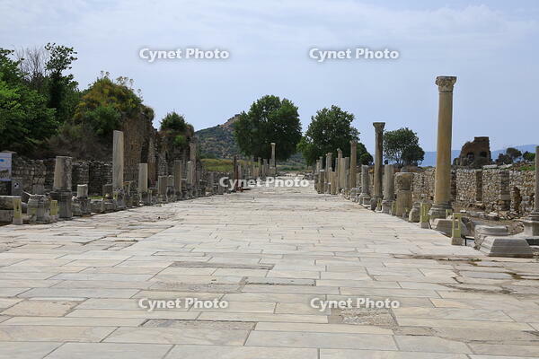 トルコ　エフェソスの古代都市遺跡 [HMA110004029]