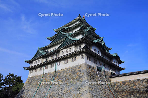 名古屋城 [HMA110004054]