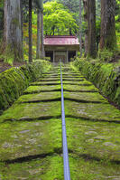 新緑の金勝寺（こんしょうじ） [SNO110019291]
