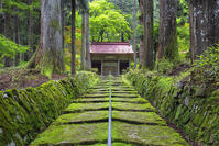 新緑の金勝寺（こんしょうじ） [SNO110019292]