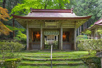 新緑の金勝寺（こんしょうじ）仁王門 [SNO110019296]