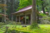 新緑の金勝寺（こんしょうじ）仁王門 [SNO110019297]