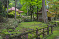 新緑の金勝寺（こんしょうじ） [SNO110019298]