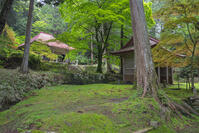 新緑の金勝寺（こんしょうじ） [SNO110019300]